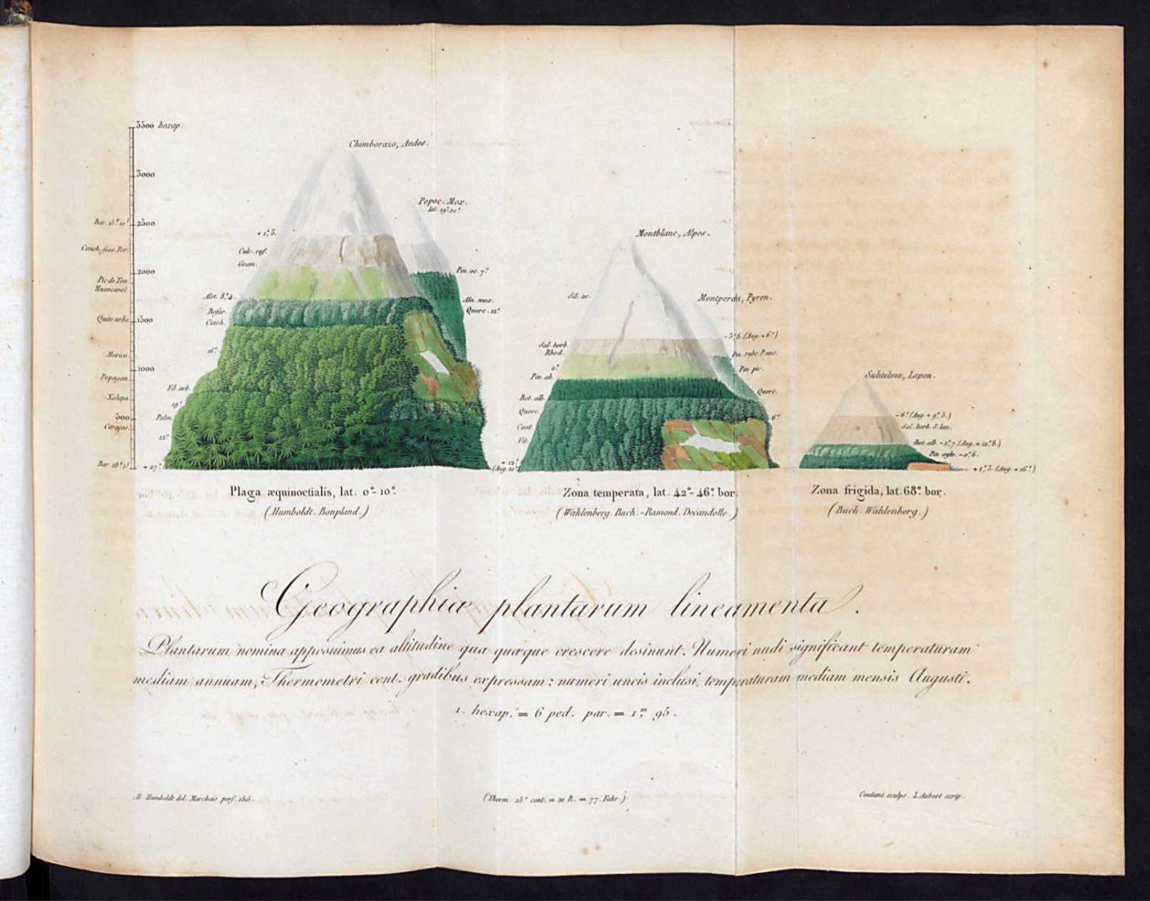 260-geographieae_plantarum.tiff