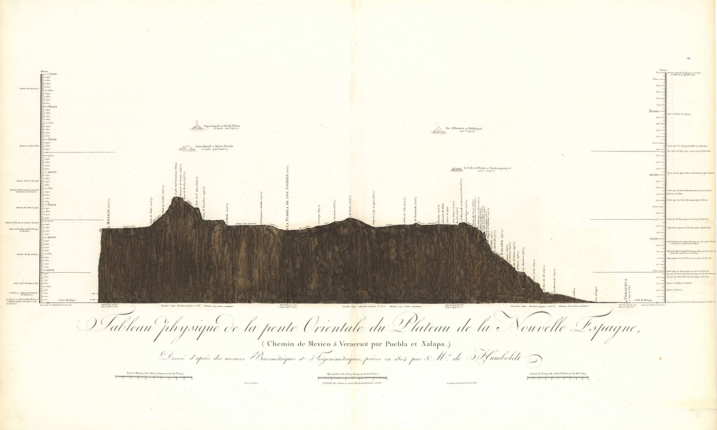 Alexander%20von%20Humboldt.%20Rafael%20Ximeno%20y%20Planes%20(8).jpg